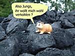 222Kohle_Hermann.JPG 222Kohle_Hermann.JPG