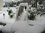 2817Schnee08-1.jpg