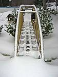 2817Winter_1.JPG