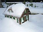 2817Winter_2.JPG