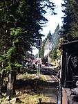 2960100_0150.jpg
