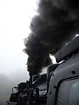 2960100_0176.jpg
