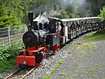 3006SDC11447.JPG
