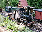3685Lok_Wilma_032.jpg
