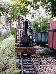 3685Lok_Wilma_036.jpg