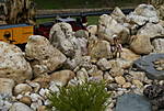 40252008_Sommer_-_Impressionen_-24.JPG