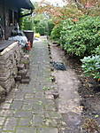 4367S6300439.jpg