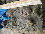 4951tunnel2711_004.jpg