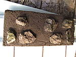 4951tunnel2711_010.jpg