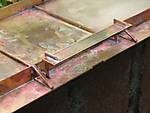 522IMG_5568.jpg