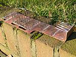 522IMG_5892.jpg