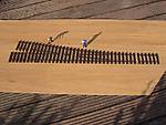 522IMG_6220.jpg