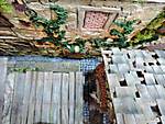 5812DSCN0594.jpg
