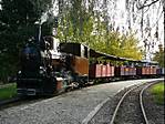 705P1010710.jpg