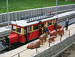 772IMG_0026.jpg