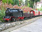 772IMG_0100.jpg
