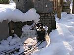 809PICT0057.JPG