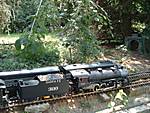 87Mikado2.JPG