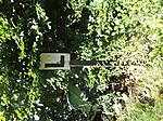 DSCF9143.JPG