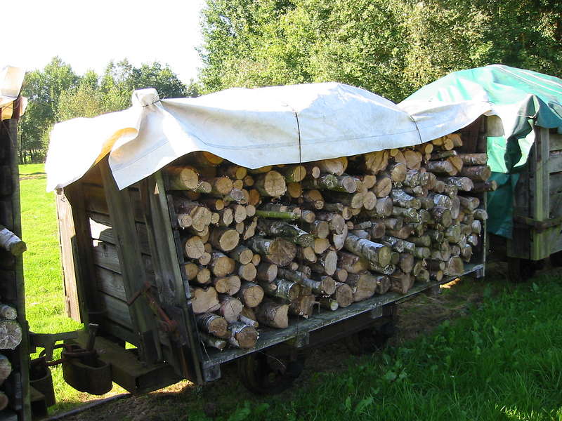 Quickborn_Holzlager_Lore_