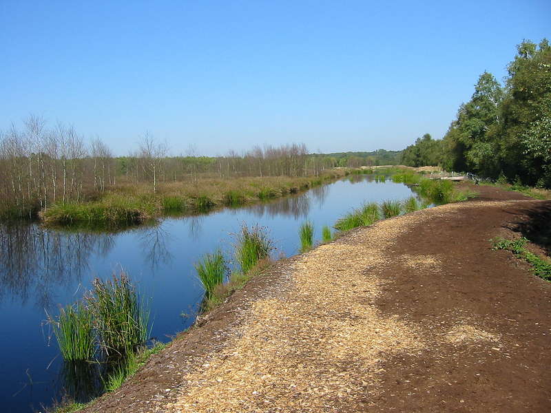 Quickborn_Moor