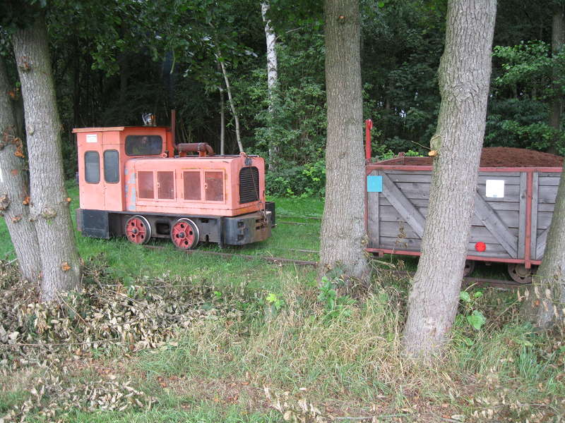 Ramsloh15