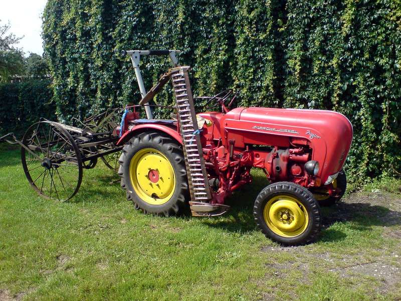 Porsche Junior