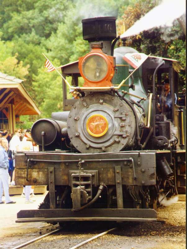 Roaring Camp and Big Trees