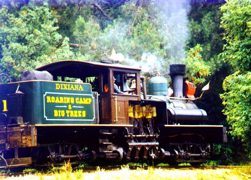 Roaring Camp and Big Trees