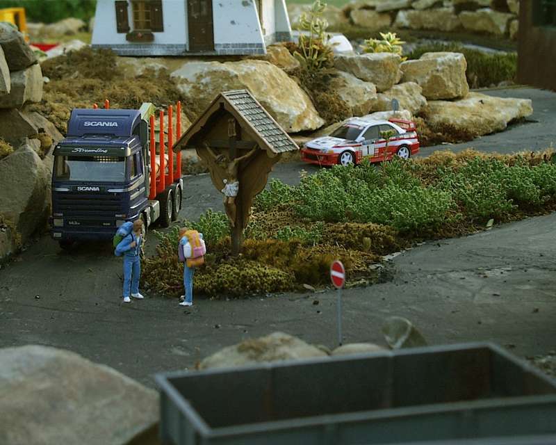 Pflanzen