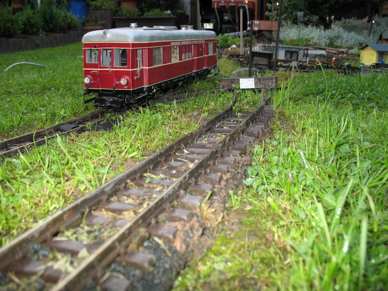 Dämmerung
