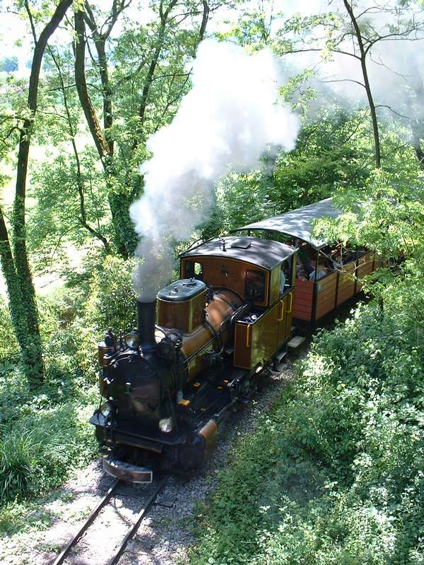 Molly am Bach
