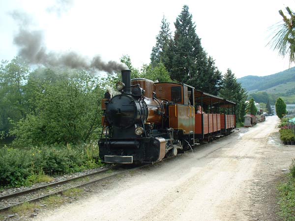 Molly am See
