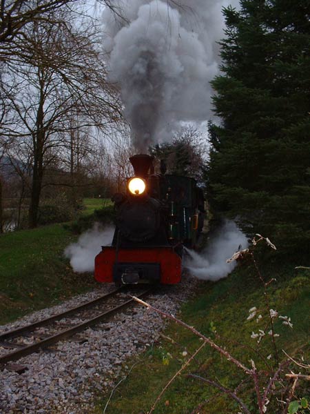 Sequoia in der Steigung