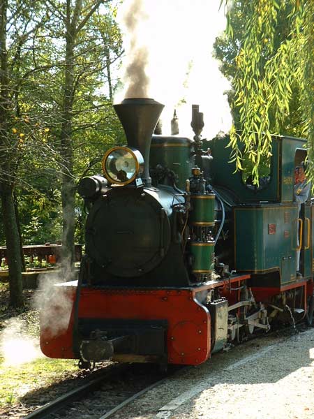 Sequoia im Bahnhof See