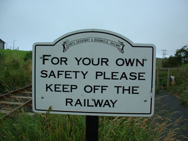 Schild