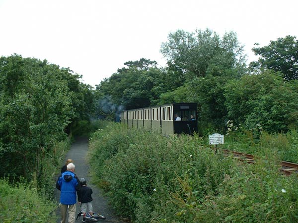 Einfahrt in den Wald