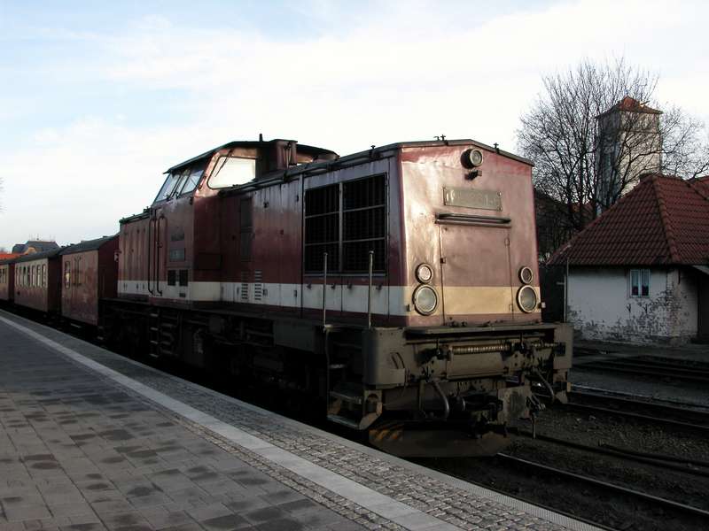 Fido: Harzkamel in Wernigerode