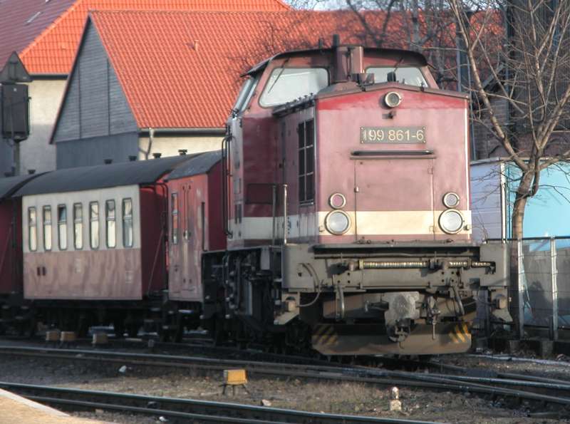 Fido: Harzkamel in Wernigerode