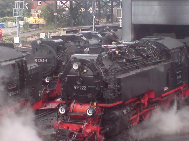 Pflegearbeiten an 99 222