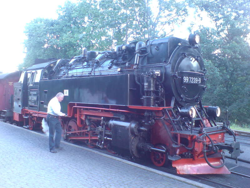 99 7239-9 in vollem Glanz