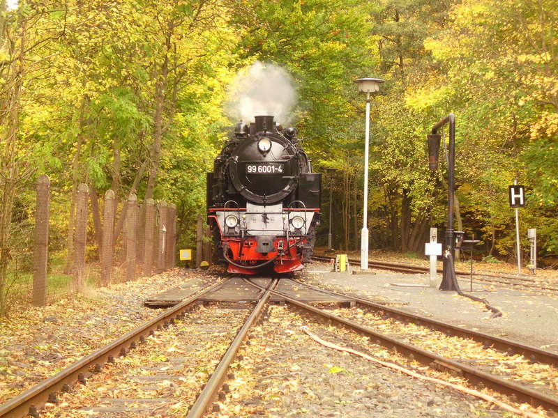 2012 Harz 14