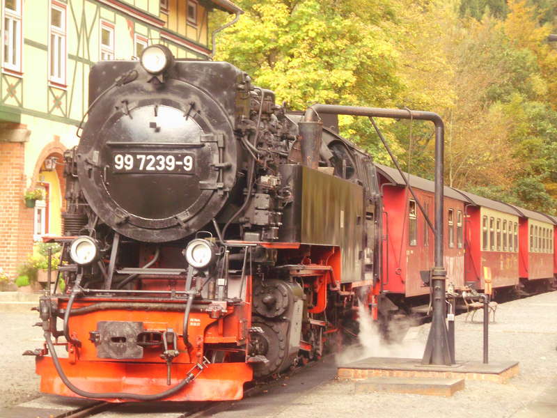 2012 Harz 19