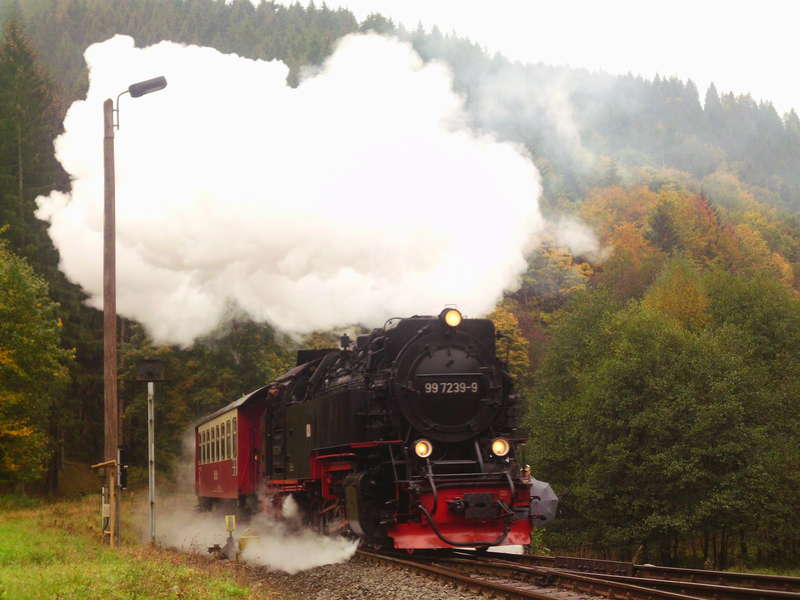 2012 Harz 22