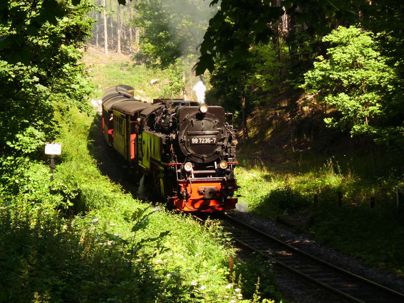 2013 Harz 02