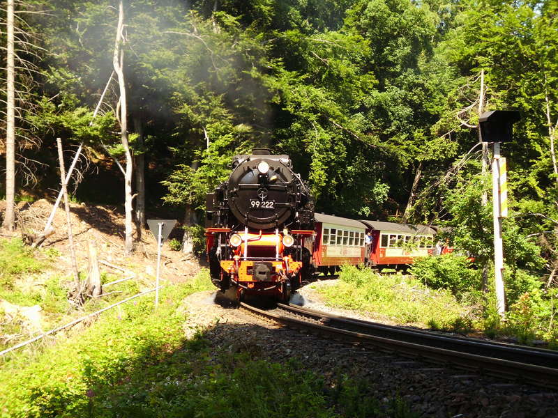 2013 Harz 03