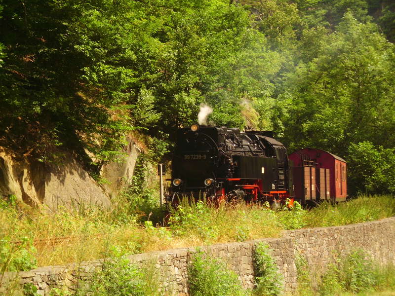 2013 Harz 06