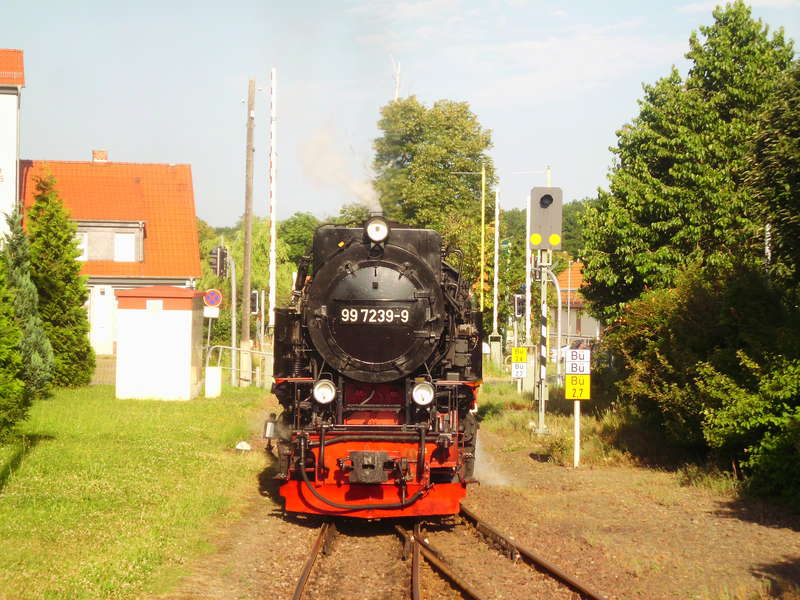 2013 Harz 08