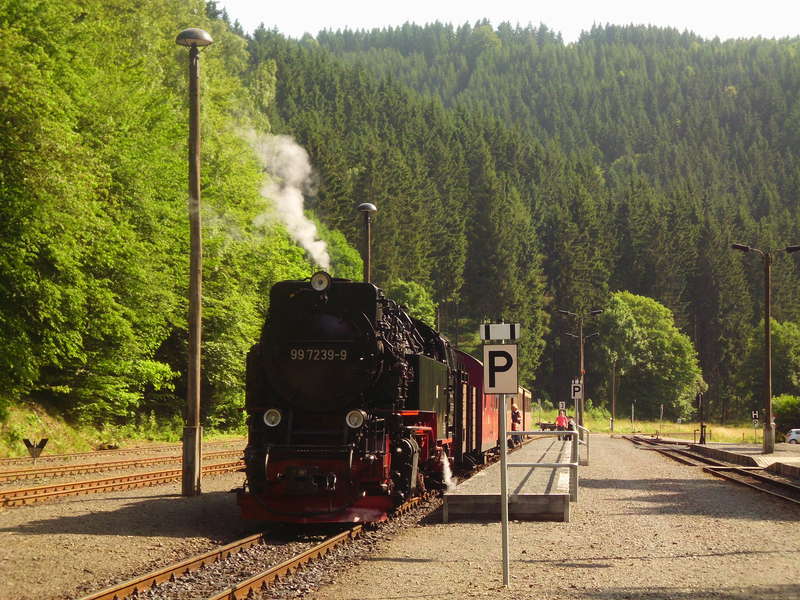 2013 Harz 11