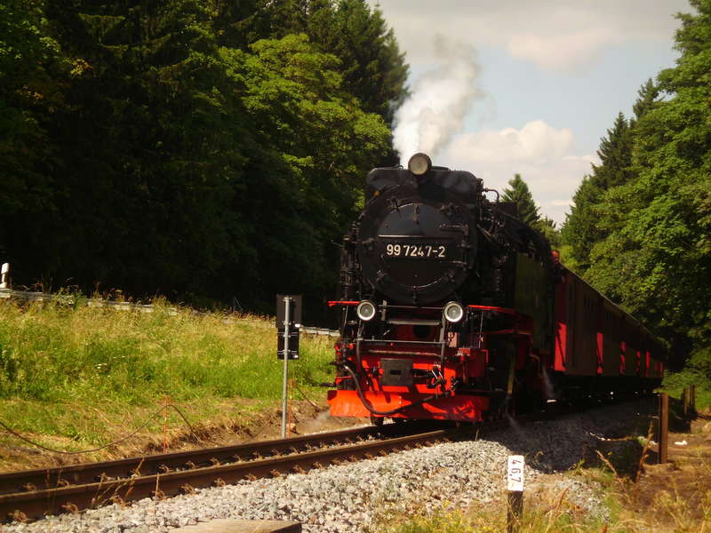 2013 Harz 12